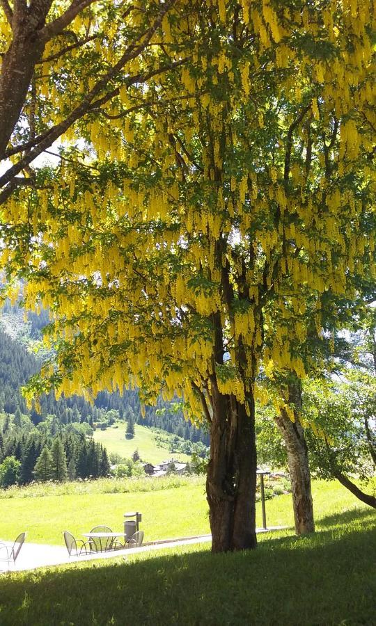 Villa Fridau Resort Gressoney-Saint-Jean Bagian luar foto