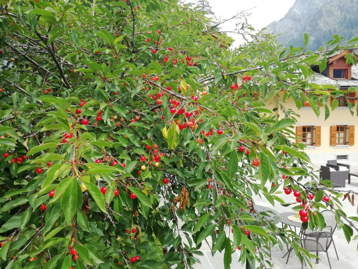 Villa Fridau Resort Gressoney-Saint-Jean Bagian luar foto